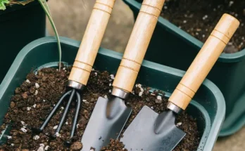 Essential Gardening Tools Every Beginner Should Have