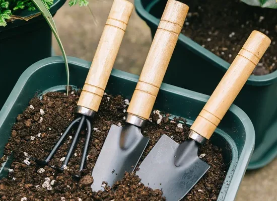 Essential Gardening Tools Every Beginner Should Have