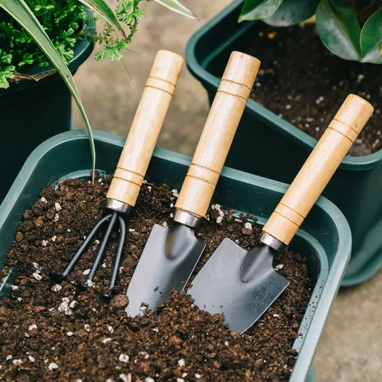 Essential Gardening Tools Every Beginner Should Have