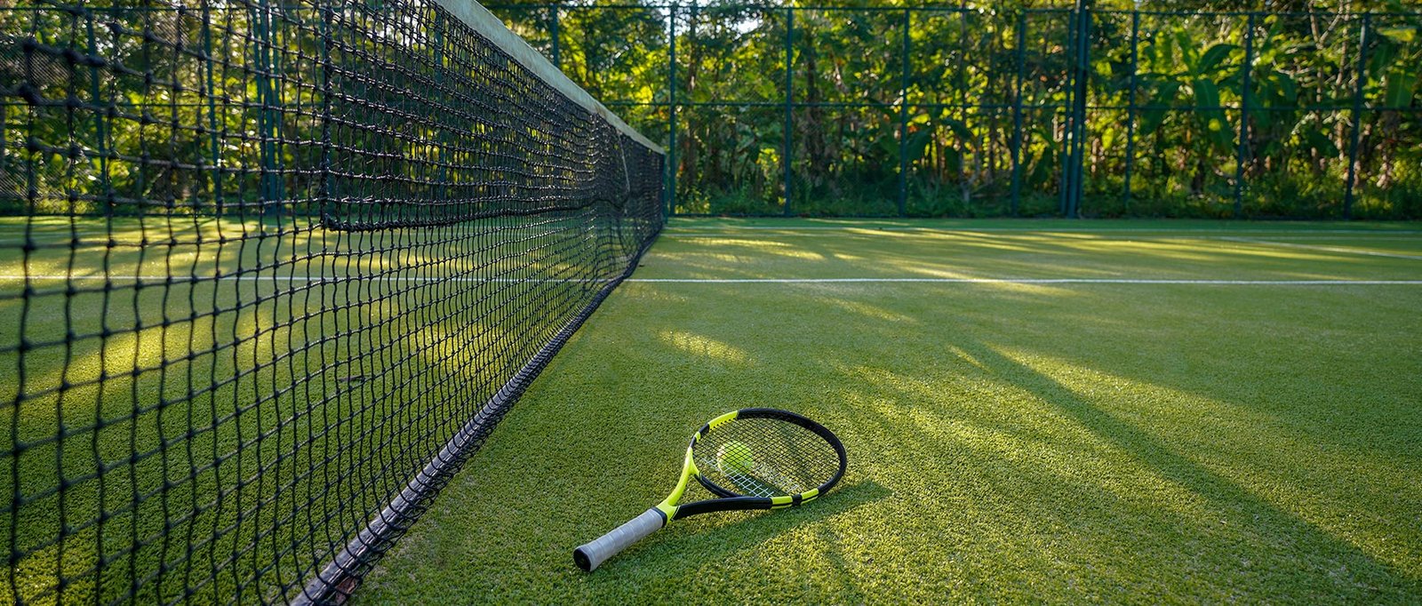 The Future of Landscaping: Why You Should Trust Established Manufacturers of Artificial Grass